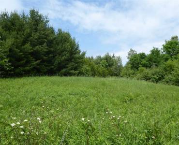 5329 First Line, Erin, Ontario L7J 2L4, ,Vacant Land,Sale,First,X4776829